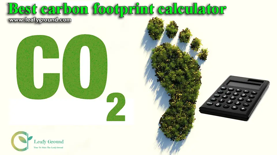 Carbon Footprint Calculator Personal