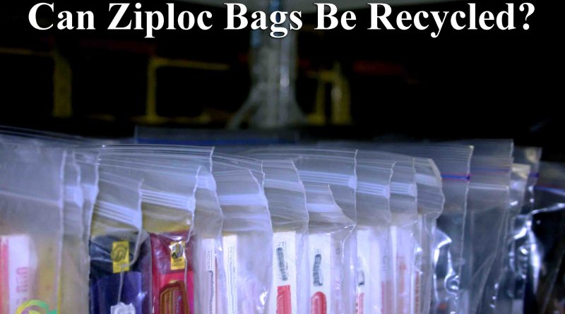 Can Ziploc Bags Be Recycled?