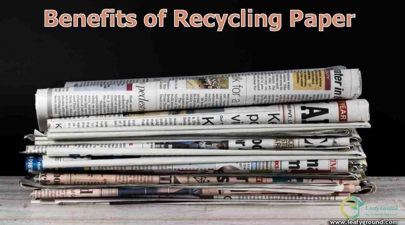 Benefits of recycling paper